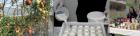 Capture_decran_20250506_a_09.29.06.png
